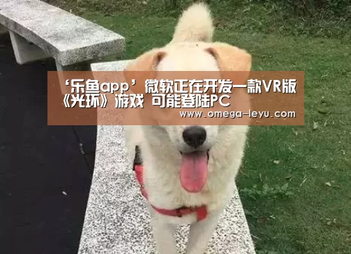 乐鱼官网