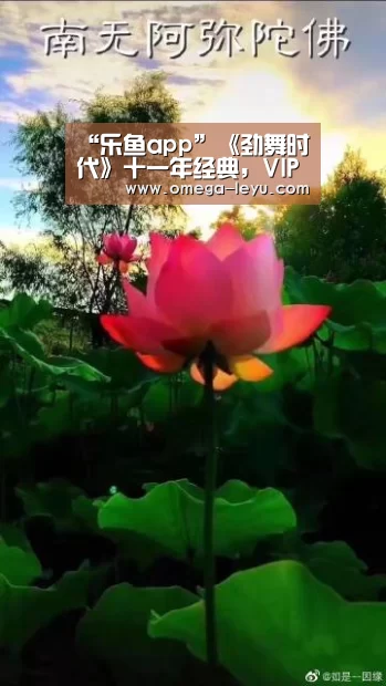 乐鱼app
