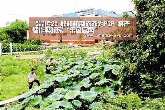 《命运2》联机机制依然为P2P 将严惩作弊玩家‘乐鱼官网’(图4)