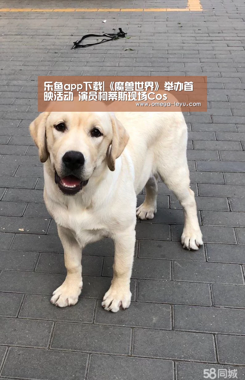 乐鱼app下载|《魔兽世界》举办首映活动 演员柯蒂斯现场Cos(图3) 乐鱼app下载
