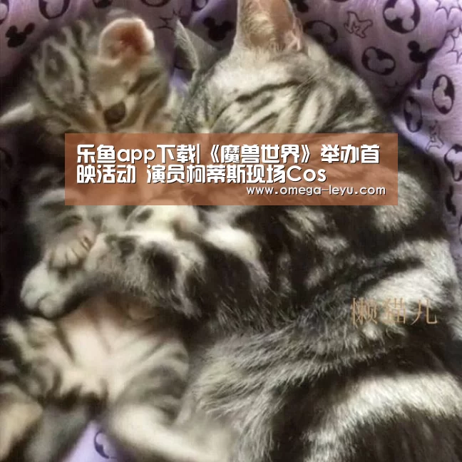 乐鱼app下载|《魔兽世界》举办首映活动 演员柯蒂斯现场Cos(图4) 乐鱼app