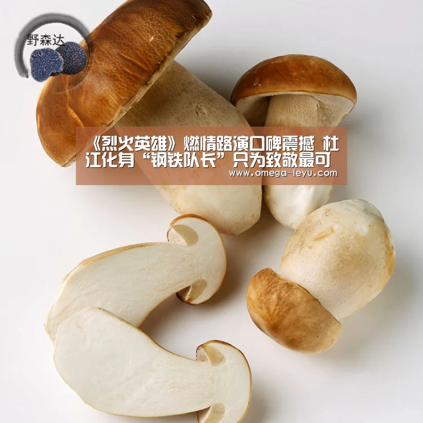 《烈火英雄》燃情路演口碑震撼 杜江化身“钢铁队长”只为致敬最可爱的人“乐鱼app下载”(图2) 乐鱼app