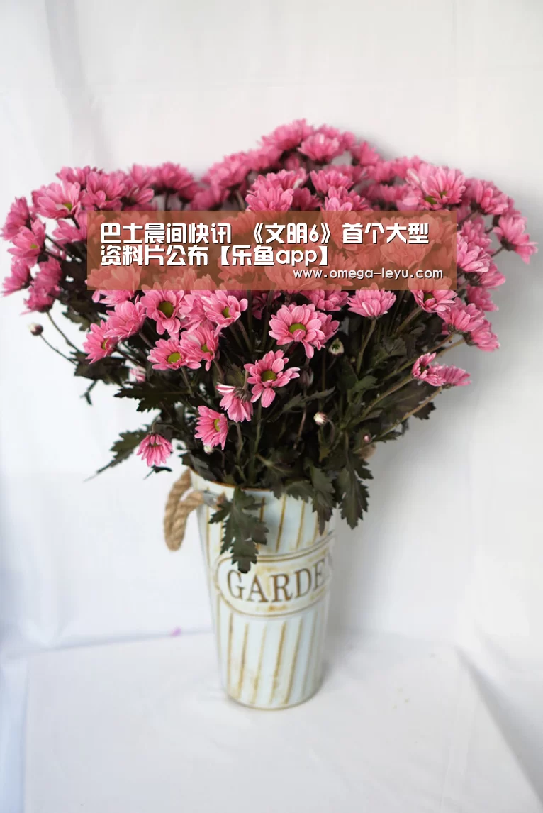 乐鱼app下载