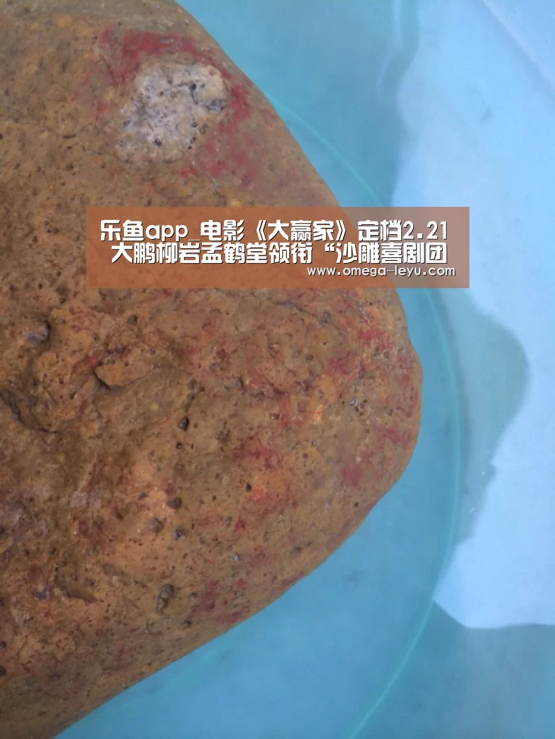 乐鱼app_电影《大赢家》定档2.21 大鹏柳岩孟鹤堂领衔“沙雕喜剧团 ”(图3) 乐鱼app下载